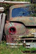 Tony Dunn; Aged Standard